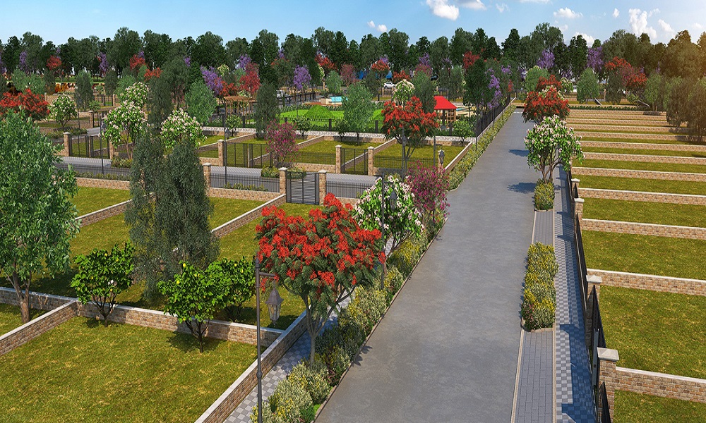 City Square Kings Park