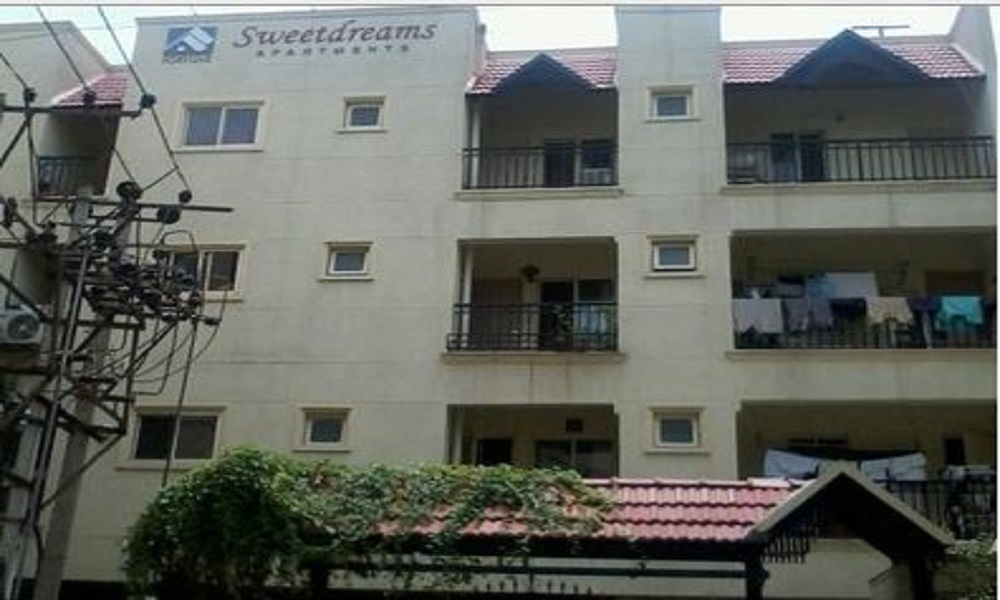 Fortune Sweet Dreams