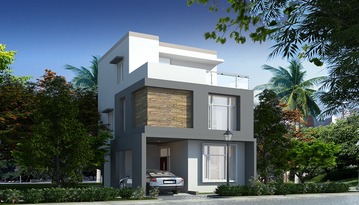 Adhvaytha Silicon Greens