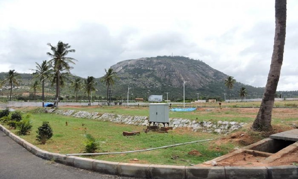 Wellnest India Nandi Nest