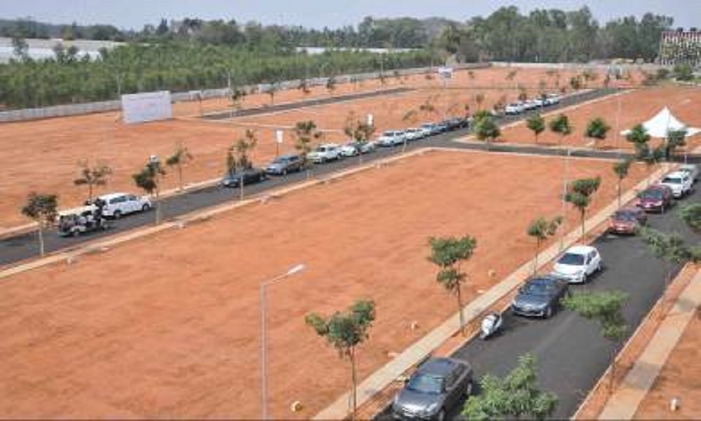 Monarch Peacock Garden