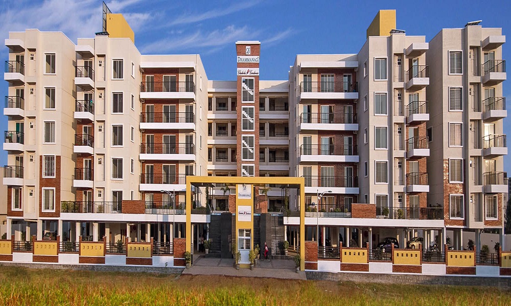 Dhammanagi Gladiola Gardenia