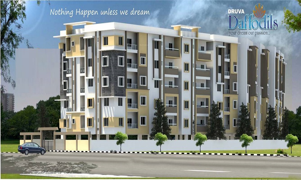 Druva Infratech Daffodils