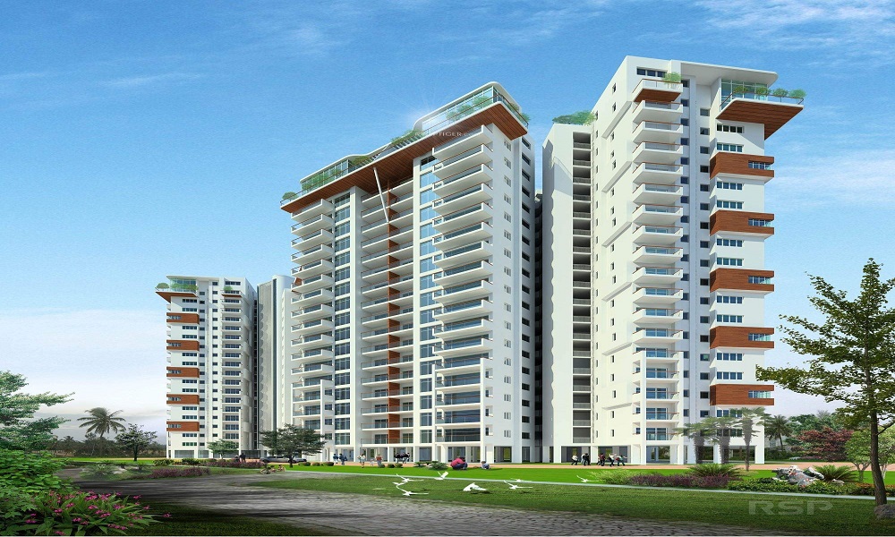 Skylark Sapphire Nest