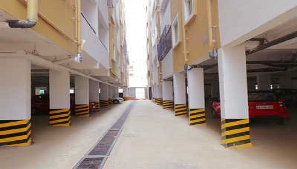 DS Max Susheela Scion