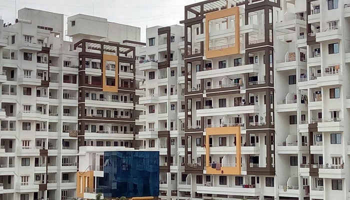 Polite Group Panorama