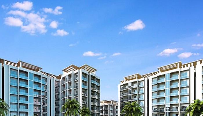 Space India Tater Florence