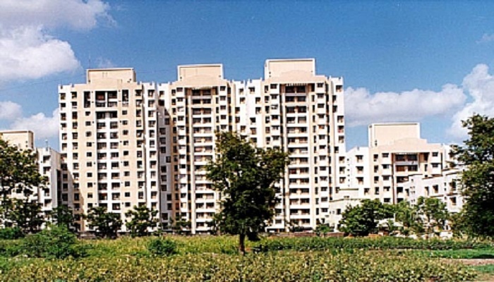 Kalpataru Tarangan 2