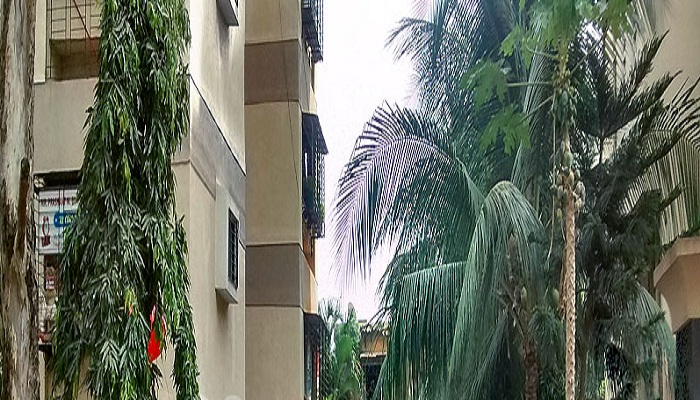 Jayesh Gorai Siddhesh CHS