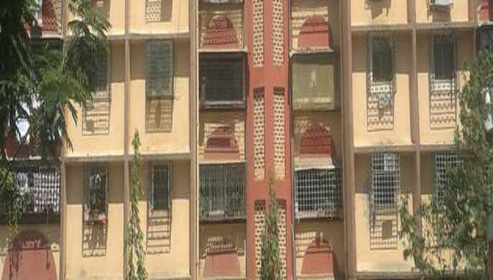 Shantistar Rajnigandha