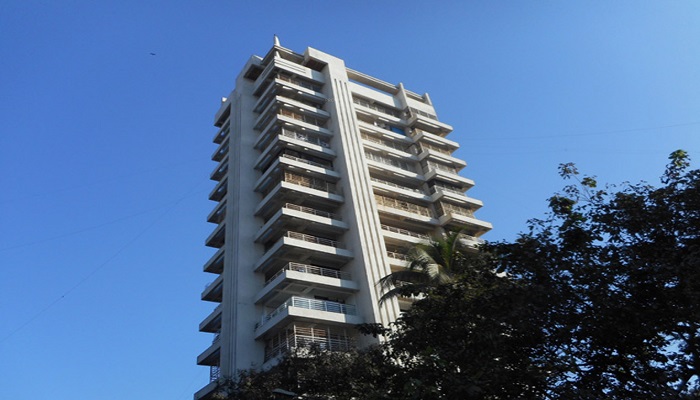 Dimension Tulsi Pride