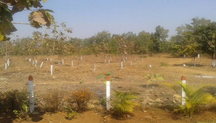 Temple Rose Mountain Range Phase 1