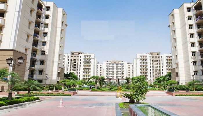 Dhanraj Vista Corner