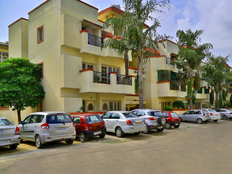 S S Mayfield Gardens