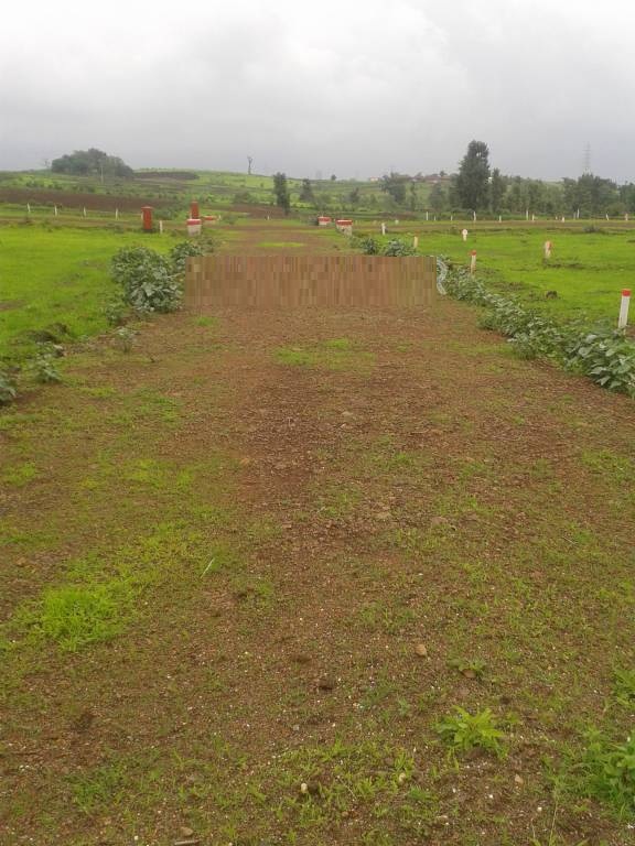 Indo Asian Mount Valley