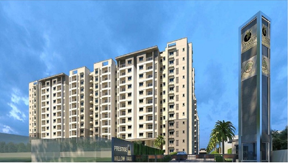 Prestige Willow Tree