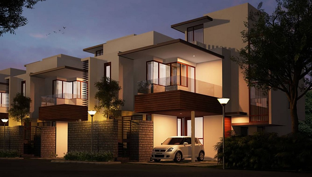 ND Around The Mangoes