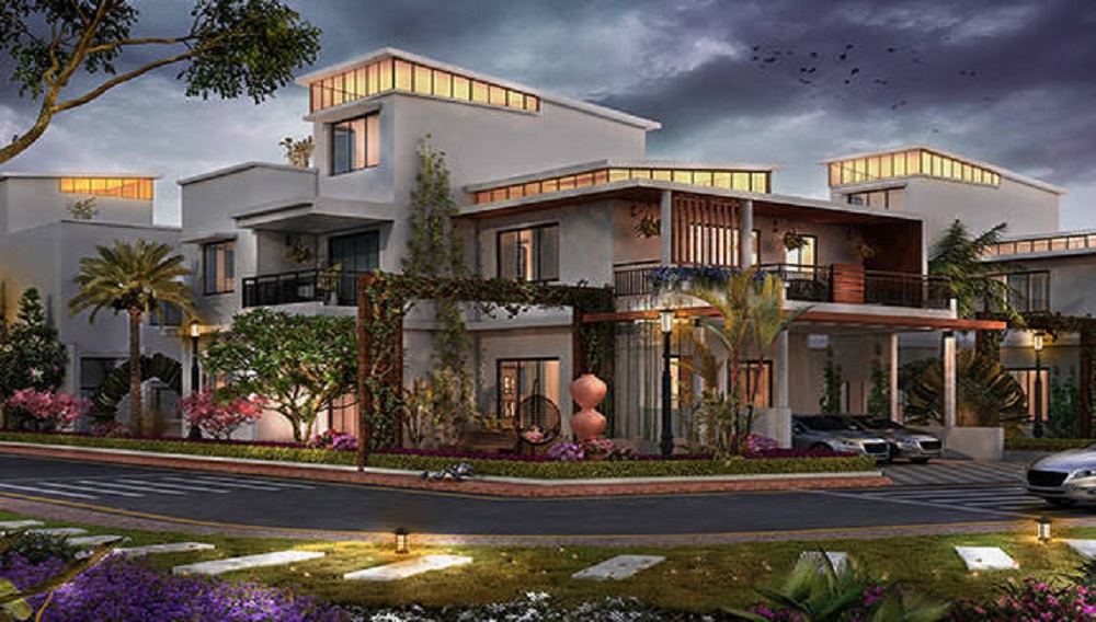 Purva Smiling Willows