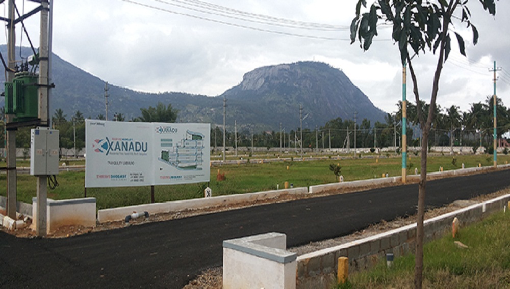 Thrive 360 East Xanadu