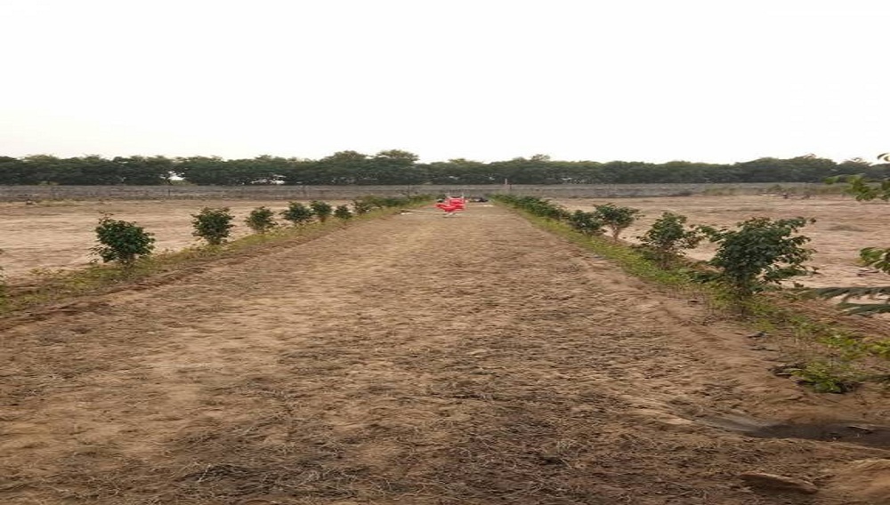 Landmark Silverwood Plot