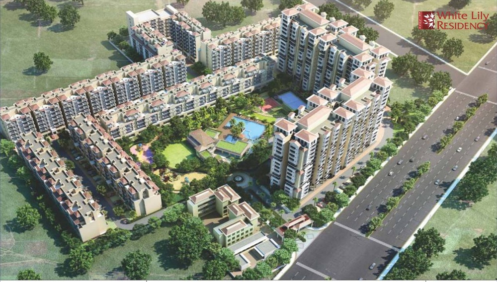 Parker White Lily Residency