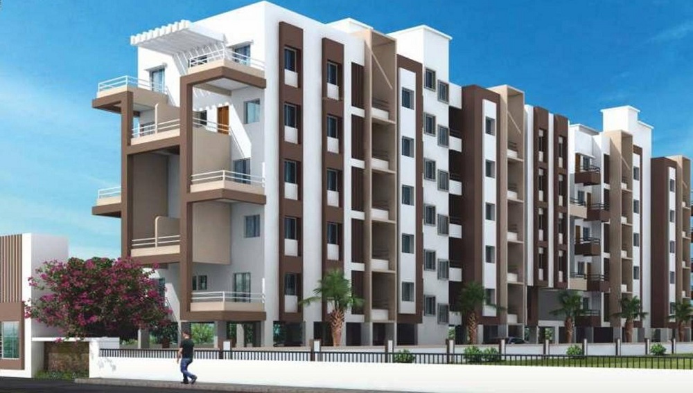 Windson Golden Copac