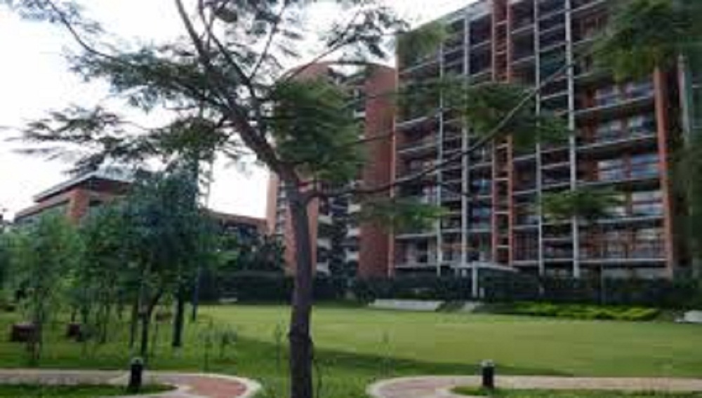 Total Environment Windmills Of Your Mind