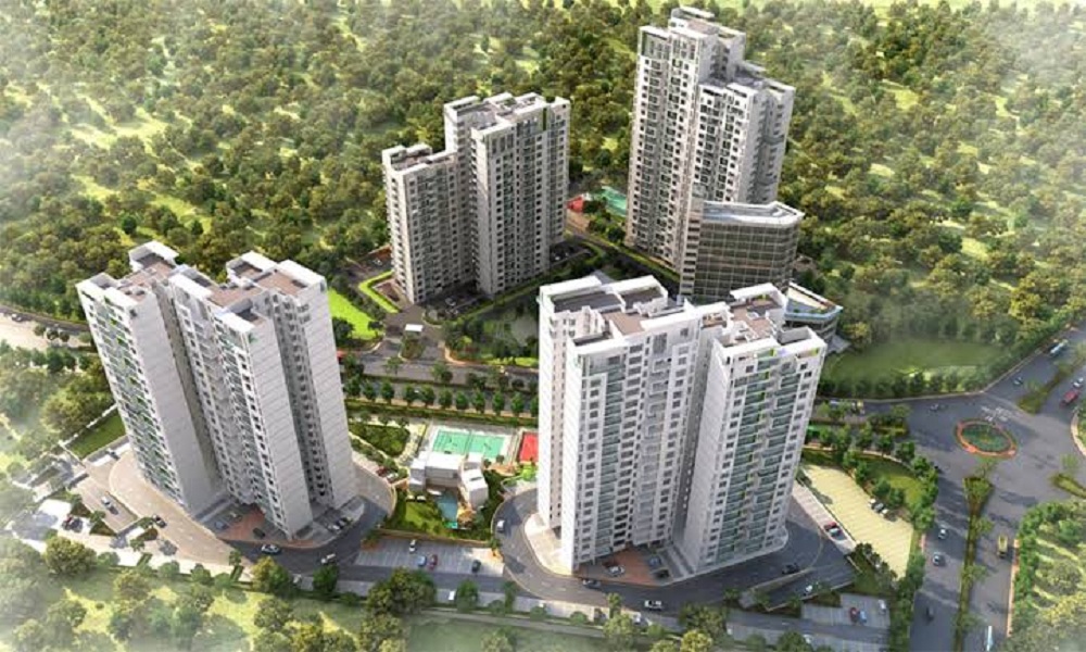 TCG The Crown Greens