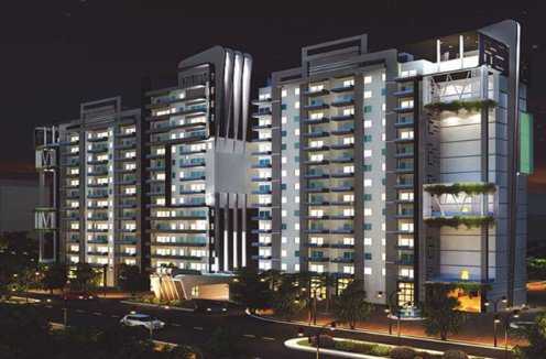 Earthcon Beetle Orchid