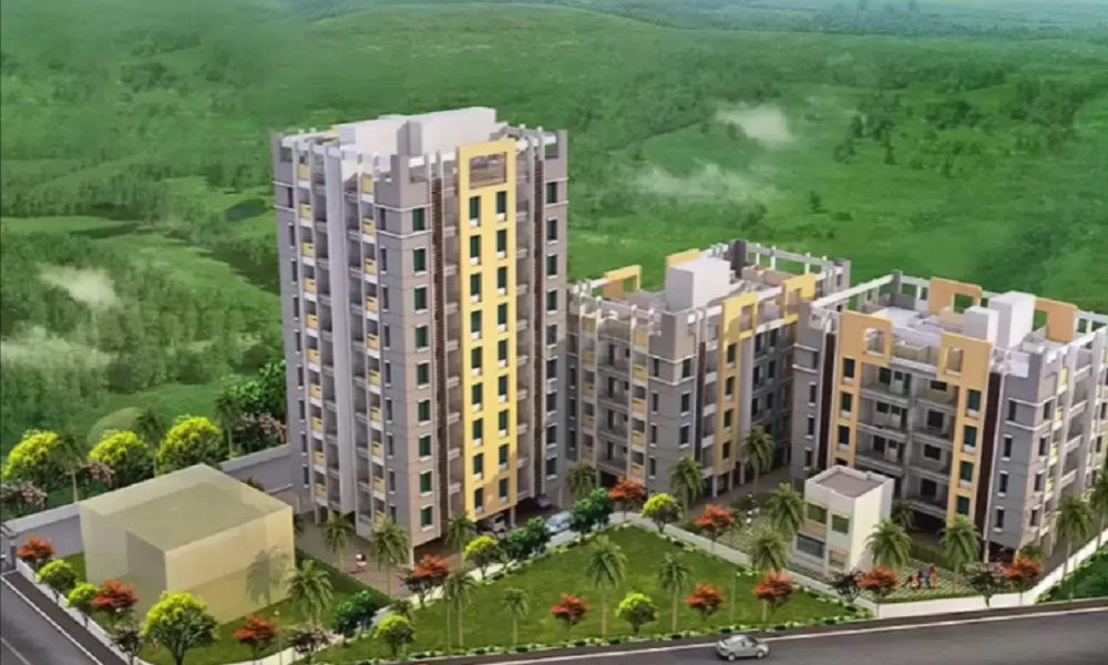 Ashapuri The Sacred Basil