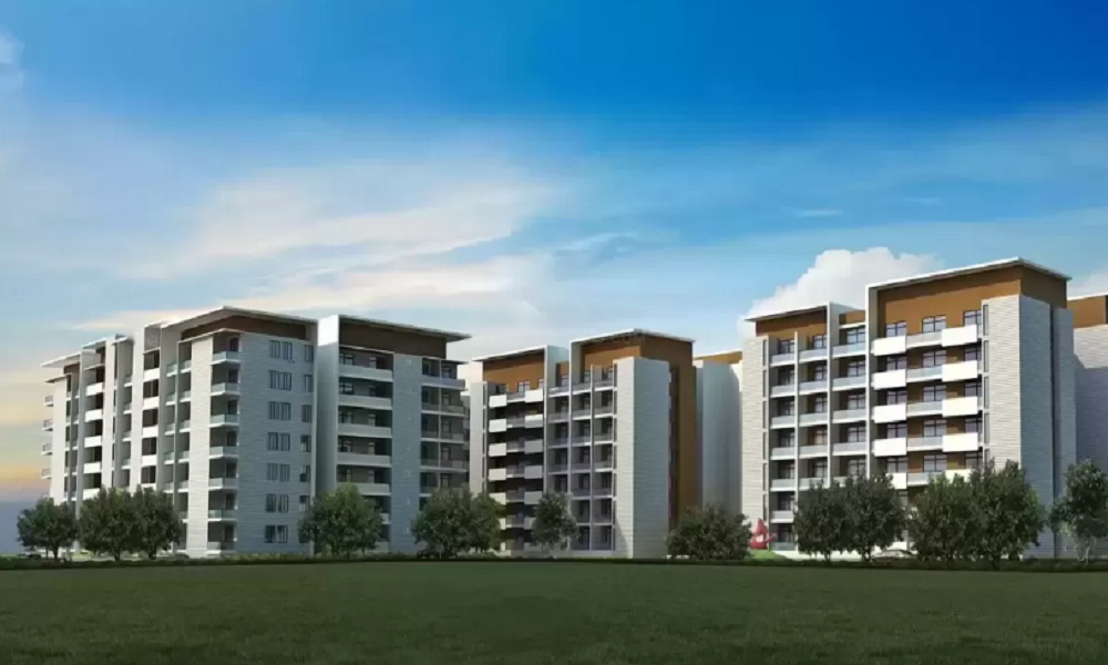 Paranjape Wind Fields