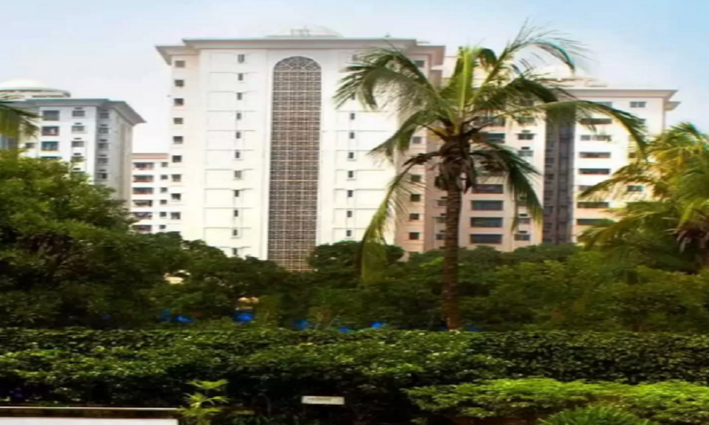 Brigade Millennium Jacaranda