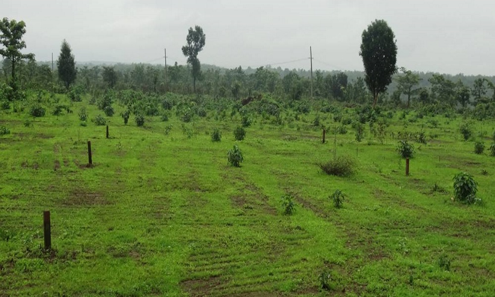 Smart Vrindavan Garden
