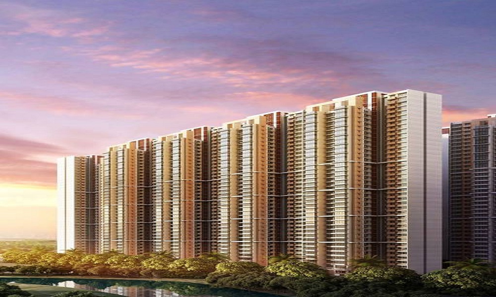 Marathon Nexzone Vega 1