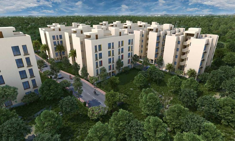 Orchid Sunshine Swapna Nagari