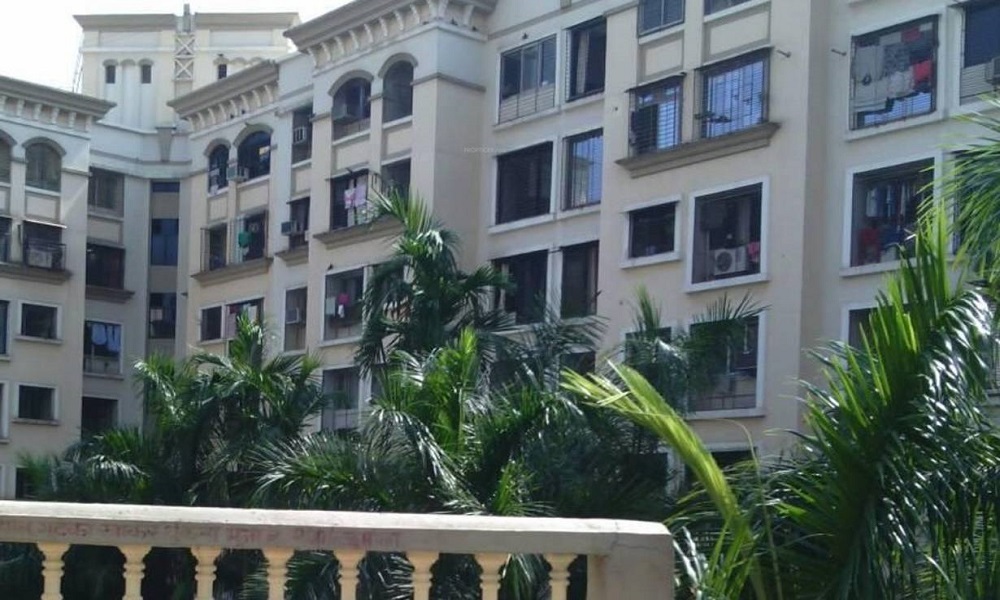 Reputed Seth Cypress