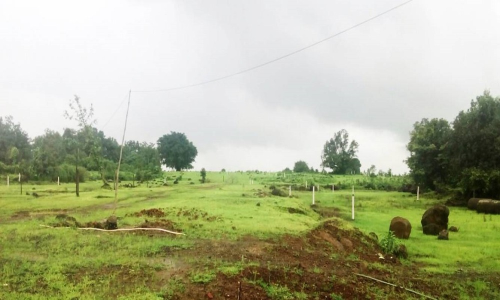 Oxyzen Viento Valley