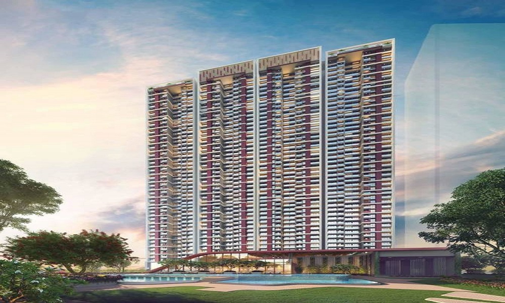 Orion Northern Lights