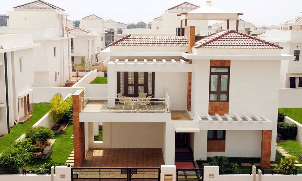 Splendid Palm Meadows