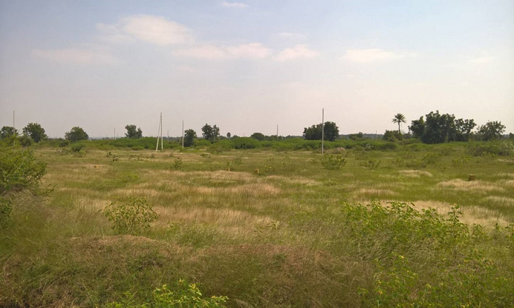 Suchirindia Silver Sands