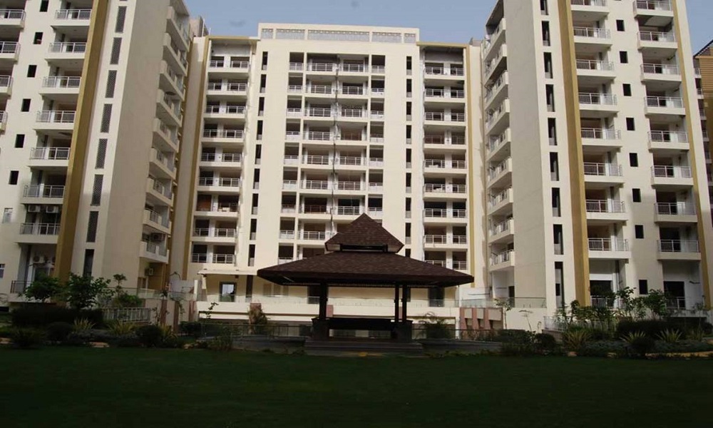 Manglam Rangoli Greens