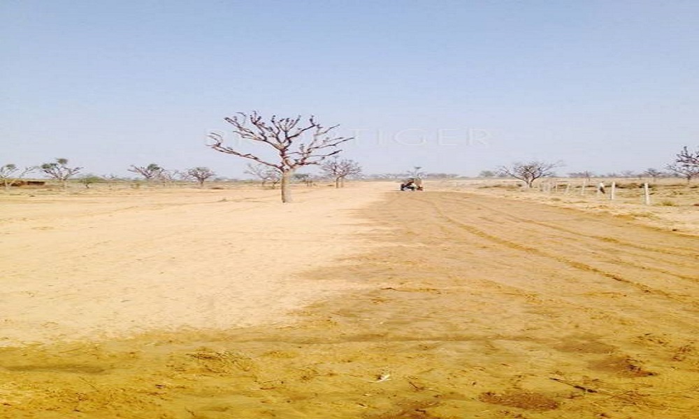 B3B Phullera Panorama