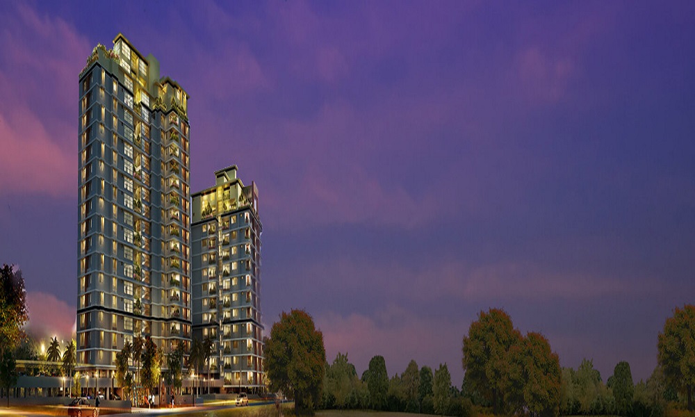 Veegaland Petunia And Begonia