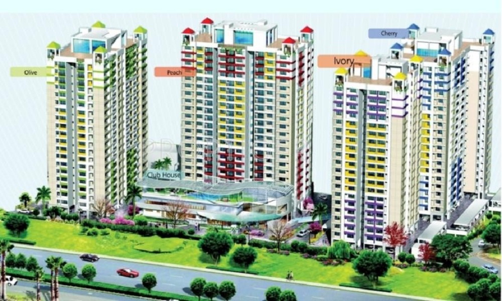 SFS Cyber Palms Ivory