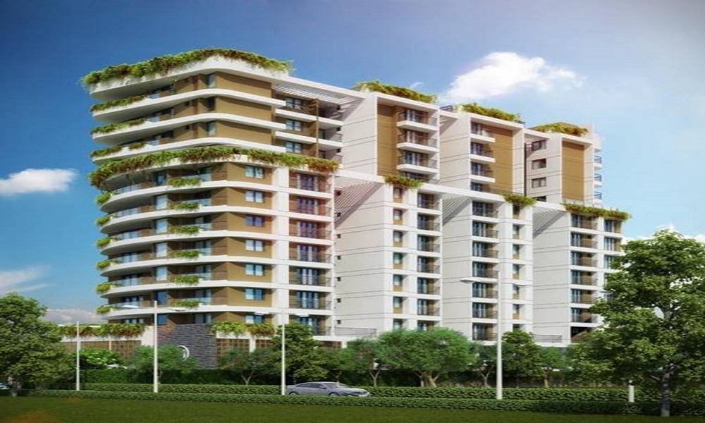 Malabar Grand Cypress