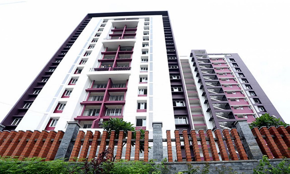 Malabar Silver Linden