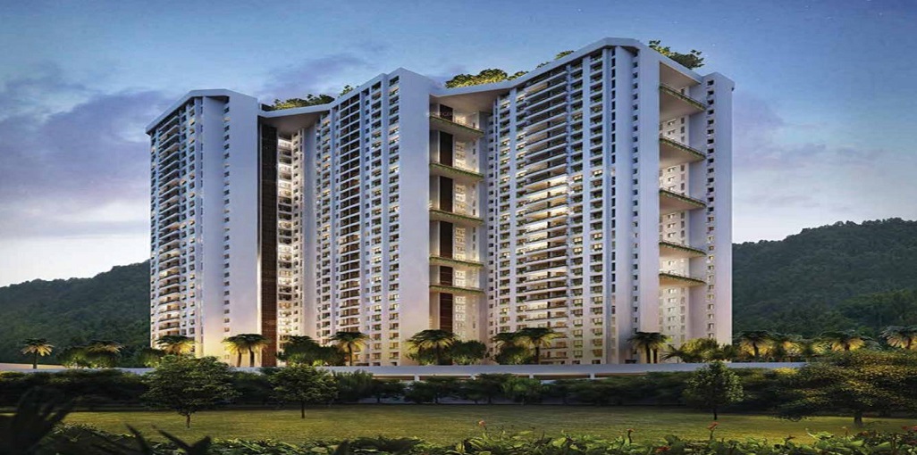 T Bhimjyani The Verraton