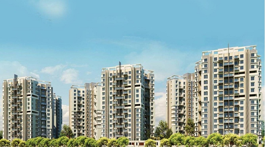 Kumar Princetown Royal B2