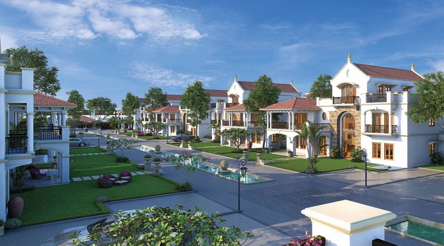 Blue Lotus Casa Bellevue