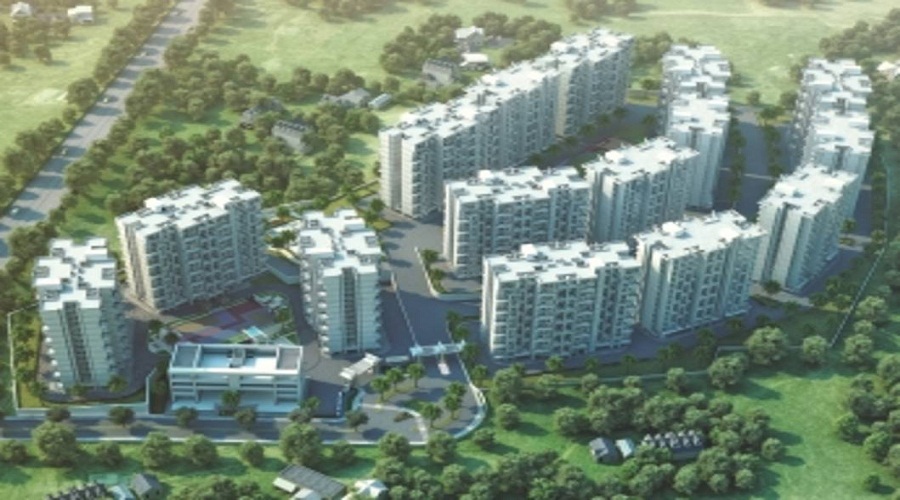 Pate Life Maxima Phase 2